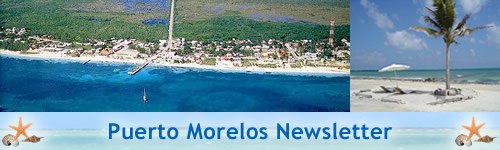Puerto Morelos Newsletter